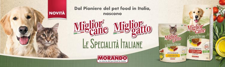 Scopri le ricette della tradizione italiana per te e per il tuo amico a 4 zampe ci pensa Morando